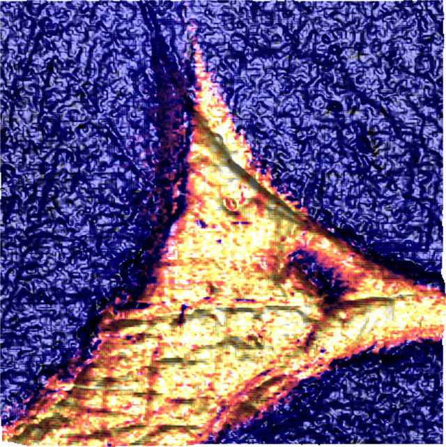嵌入环氧树脂中的卡宾纤维的纳米化学AFM-IR图像的纳米级特性图。