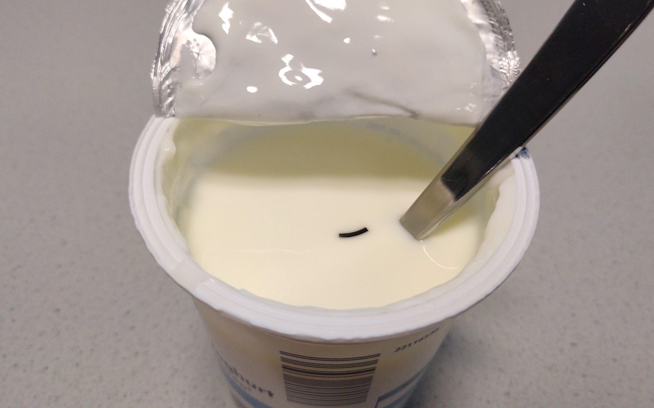 酸奶橡胶密封片段