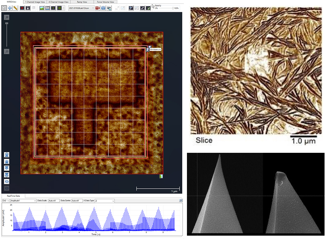 从左顺序旋转：MiroView Canvas与PFM图像上的SS-PFM RAMPScript数组;聚合物薄片的DCube-PFM图像;在接触模式下使用后磨损。