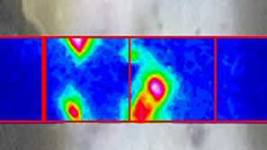 Screen shot OPUS software FT-IR imaging and microscopy.