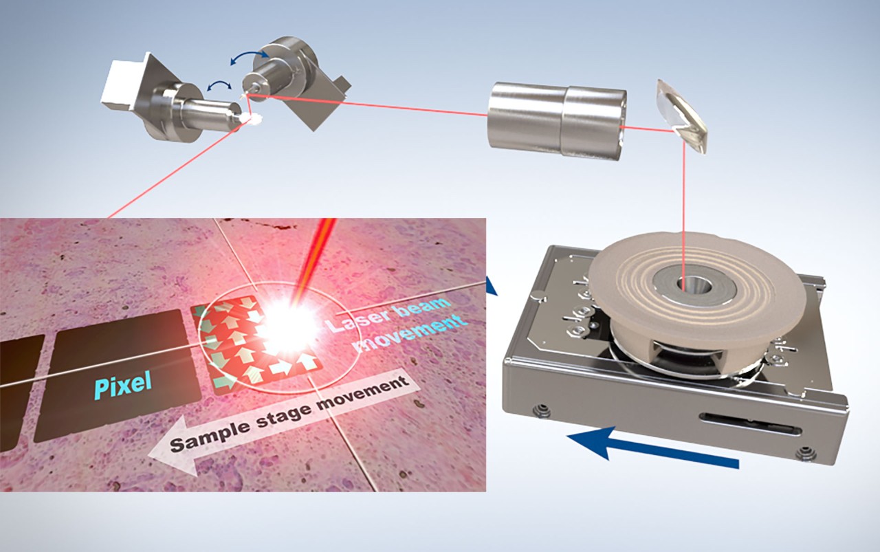 Dual rotating mirrors raster the laser beam in an x-y axis which is independent of the x-y motion of the target. The two independent movements combine to create the ideal sampling environment for Imaging: the true, welldefined pixels, as seen above, acquired at maximum acquisition rate.
